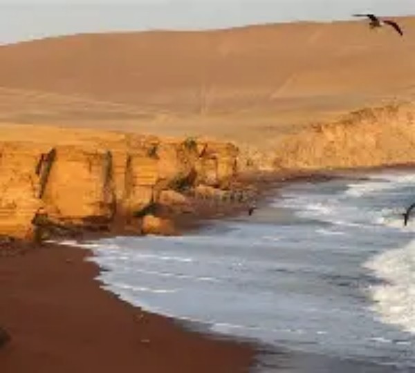 Playa Inca: Análisis Exhaustivo 