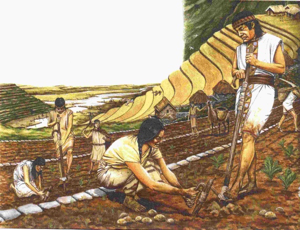 industrias-inca-la-sabiduria