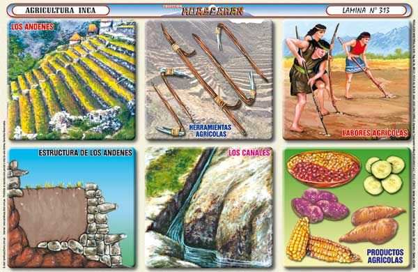 Alimentos del Imperio Inca