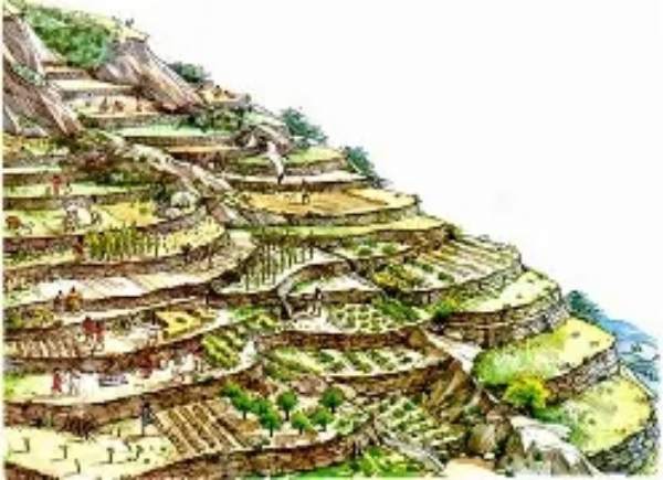 Imperio Inca Dibujo