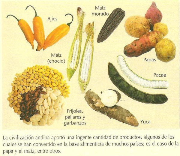Alimentos del Imperio Inca